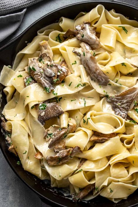 This pasta recipe has the BEST flavors in the creamy mushroom sauce. A great dinner that satisfies everyone in the family. #pastarecipe #oystermushrooms #mushroompasta Oyster Mushroom Pasta Recipe, Oyster Mushroom Pasta, Oyster Mushroom Recipes, Pasta With Onions, Mushroom Pasta Sauce, Wild Mushroom Recipes, Oyster Mushroom Recipe, Mushroom Recipes Pasta, Creamy Mushroom Pasta