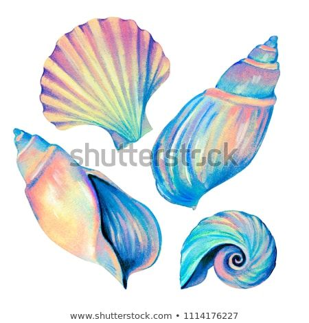 set of seashells - conch, fan shell, and cockle-shell. Amazing iridescent colors, detailed hyper - realistic illustration, blue opalescent glow. Mother of pearl shells. Seashell Drawing Realistic, Seashell Illustration Drawing, Conch Shell Drawing, Sea Shells Ideas, Sea Shell Drawing, Seashells Painting, Sea Shell Illustration, Pearl Illustration, Shell Drawings