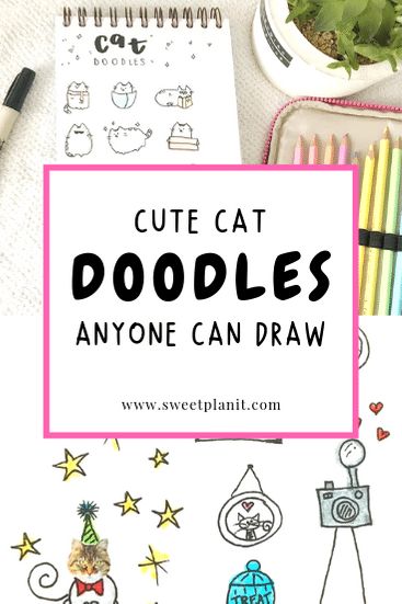 Cute Cat Doodles Anyone Can Draw: How to Draw Cats! Add them to your planner, bullet journal, or sketchbook. Doodles For Beginners, Cute Cat Doodles, How To Draw Cats, Doodle For Beginners, Birds Images, Draw Cats, Cat Doodles, Draw A Cat, How To Make Magic