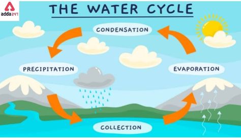 What Is Water Cycle, Water Cycle Drawing, Water Cycle Process, Water Cycle Diagram, Hydrological Cycle, Science Videos For Kids, Diagram Drawing, Cycle Drawing, The Water Cycle