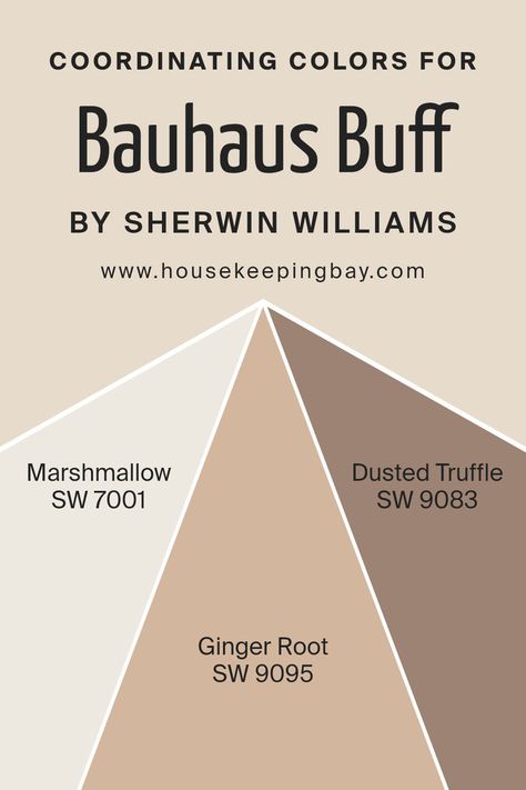 Coordinating Colors of Bauhaus Buff SW 7552 by Sherwin Williams Sw Dusted Truffle, Sherwin William, Steamed Milk, Root Color, Trim Colors, Color Complement, Ginger Root, Color Inspo, Trim Color