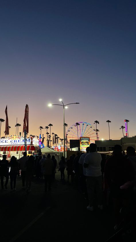 Ferris Wheel Sunset, La County Fair, Fair Day, County Fair, Neon Lights, Travel Aesthetic, Neon Lighting, Ferris Wheel, Times Square