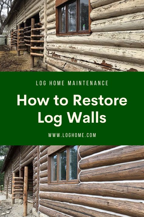 Log Home Chinking Exterior, Log Cabin Makeover Before And After, Log Home Aesthetic, Old Cabin Remodel, Log House Renovation, Stained Log Cabin Exterior, Log Cabin Renovation Exterior, Painted Log Homes Exterior, White Log Cabin Exterior