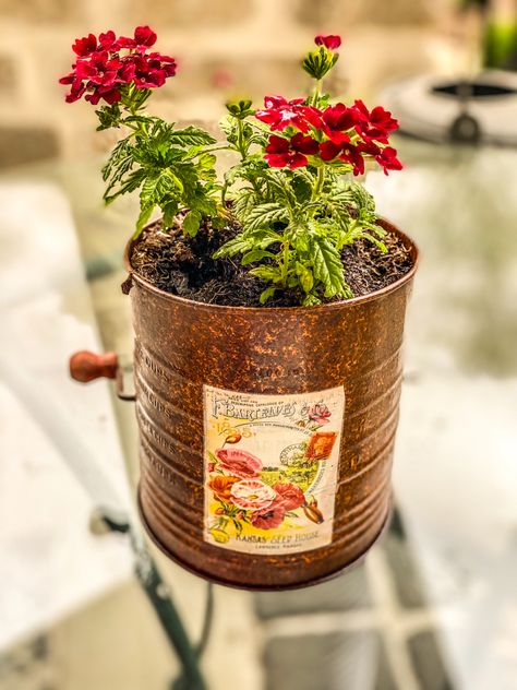 Cute upcycling project done with an old rusty flour sifter! Decorating With Old Flour Sifters, Old Flour Sifter Ideas, Flour Sifters, Flour Sifter, Upcycle Projects, Flower Planters, Flour, Seeds, Flowers