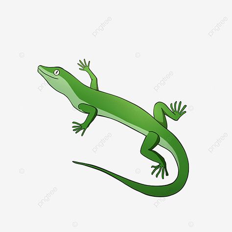 lizard clip art,cartoon,clipart,lizard,cartoon style,cartoon lizard,animal,cartoon animals Lizard Clipart, Lizard Cartoon, Cartoon Lizard, Cute Lizard, Cartoon Png, Cartoon Clipart, Cartoon Painting, Cartoons Png, Simple Pictures