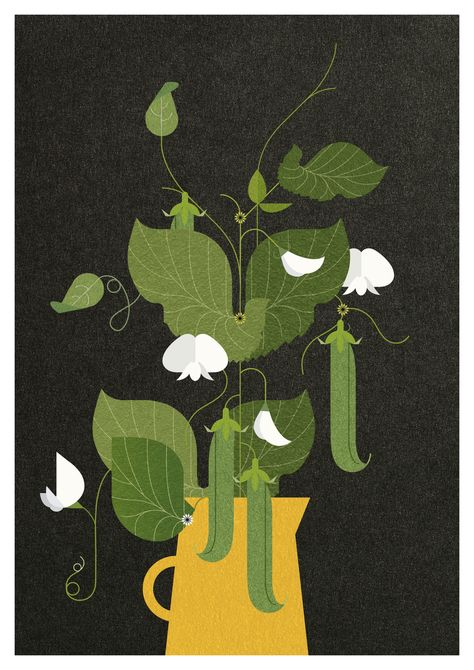 Plant Graphic Illustration, Pea Plant Illustration, Illustration Art Plants, Sweet Pea Illustration, Peas Illustration, Sprout Illustration, Pea Illustration, Seeds Illustration, Bean Illustration