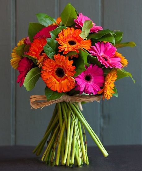 Gerbera Flower Bouquet Design Gerbera Bouquet, Luxury Flower Bouquets, Gerbera Flower, Gerbera Daisies, Daisy Bouquet, Flower Arrangements Simple, Prom Flowers, Fresh Flowers Arrangements, Bouquet Design