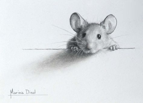 Marina Dieul: Copyright infringement: a story showing how to make easy profit with very little efforts ( as long as you are not caught) Maus Illustration, Pencil Tattoo, Mouse Drawing, Sketch Tattoo, Graphite Drawings, Pencil Art Drawings, Arte Animal, A Pencil, Pics Art