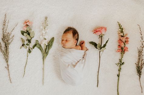 Newborn With Flowers, Newborn Wildflower Photoshoot, Newborn Photography With Flowers, Floral Newborn Pictures, May Newborn Photoshoot, Infant Girl Photoshooting Ideas, Flower Newborn Photography, Newborn Photos With Flowers, Wildflower Newborn Photos