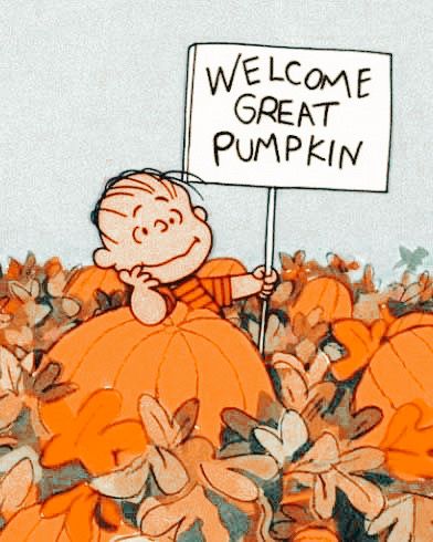 Brown Iphone Background, Halloween Wallpaper Charlie Brown, Spooky Pumpkin Patch, Welcome Great Pumpkin, Cute Fall Wallpaper, Great Pumpkin, Fall Things, Spooky Szn, Halloween Vibes