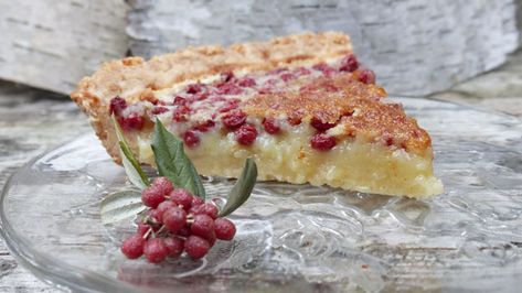 Lemon and Autumn Olive Tart Recipe Olive Tart, Wild Food Recipes, Plant Recipes, Edible Weeds, Autumn Olive, Wild Food Foraging, Foraging Recipes, Olive Recipes, Foraged Food