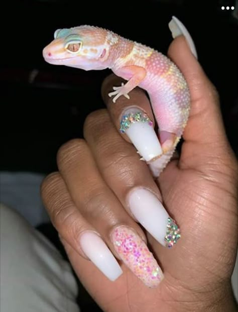 Leopard Gecko Cute, Nails Leopard, Cute Gecko, Cute Lizard, Pretty Snakes, Leopard Geckos, Cute Reptiles, Cute Small Animals, Breaking In