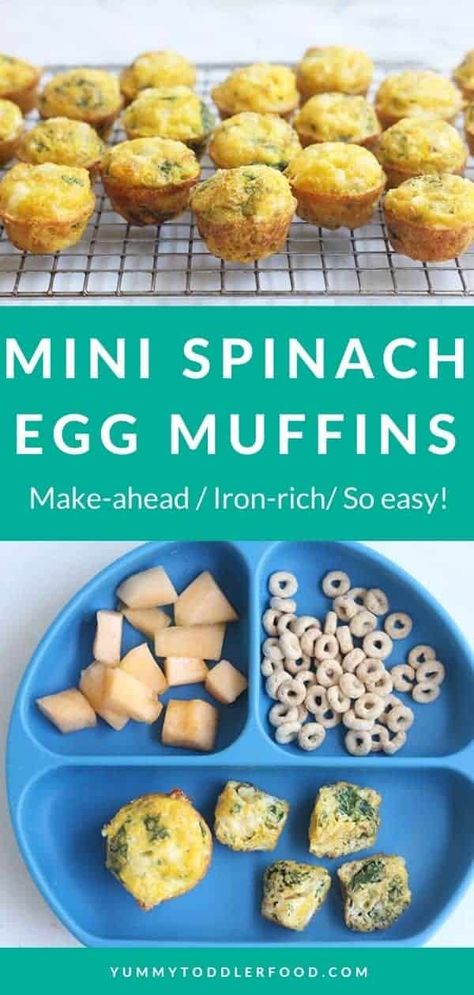 Best-Ever Spinach Egg Muffins (So Easy, So Good!) Spinach Muffins, Baby Muffins, Blw Recipes, Led Weaning Recipes, Toddler Food Ideas, Toddler Meal Ideas, Toddler Foods, Baby Meals, Baby Food Ideas