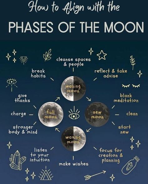 The Phases Of The Moon, Moon Astrology, Moon Reading, New Moon Rituals, Witch Spirituality, Energy Healing Spirituality, Witch Spell Book, Magical Life, Phases Of The Moon