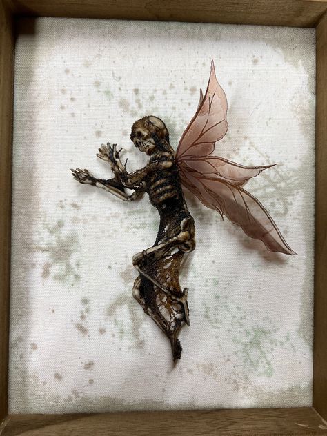 Skeleton Fairies, Faerie Tattoo, Art Skeleton, Shadow Box Display Case, Wooden Shadow Box, Ninja Art, Raven Skull, Fairy Pictures, Witchy Crafts