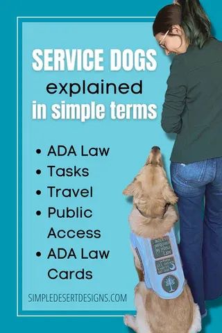 If you're a service dog handler, you may have heard of ADA cards and wondered if you need one. These cards are meant to inform businesses and individuals of your rights under the ADA and the presence of your service dog. However, it's important to note that these cards are not required by law and some businesses may not recognize them. As a service dog handler, it's important to educate yourself on your rights and the laws surrounding service dogs to ensure a smooth experience in public places. Emotional Support Dog Training, Simple Desert, Psychiatric Service Dog, Easy Fundraisers, Service Dogs Gear, Service Dog Training, Emotional Support Dog, Educate Yourself, Desert Design