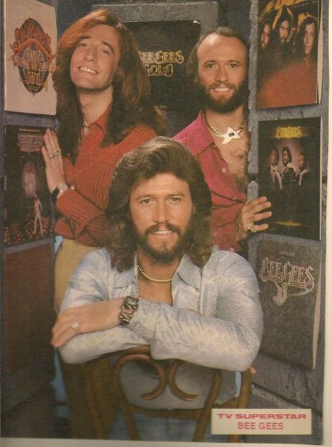 Bee Gees The Bee Gees, Robin Gibb, Western Artist, Andy Gibb, Barry Gibb, Artist Wall, 70s Music, Disco Music, Aretha Franklin