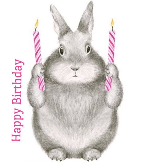 Happy Bday Greetings, Happy Birthday Rabbit, Bunny Happy Birthday, Bday Greetings, Birthday Wishes For Her, Birthday Cards Images, Christian Greeting Cards, Bday Wishes, 16th Birthday Card