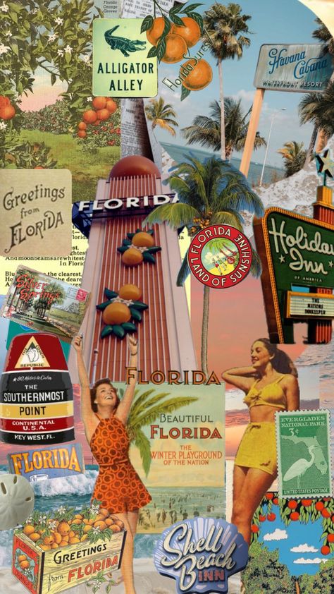 Old Florida #travel #retro #50s #florida #fl #orlando #miami #citrus #vacation Old Florida Decor, Miami Wallpaper, Florida Aesthetic, Americana Aesthetic, Florida Decor, Miami Vacation, Cute Summer Wallpapers, Camping Aesthetic, Wedding Planning Guide