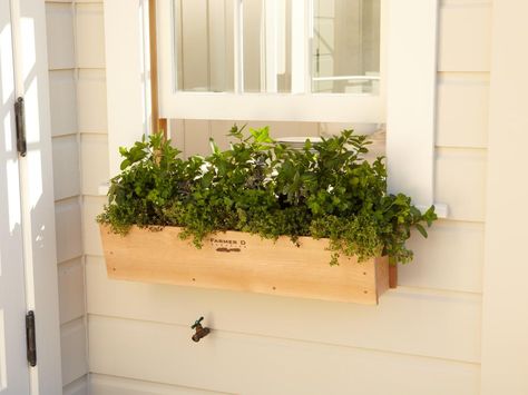 14 Simply Stunning Summer Window Boxes | HGTV Box Herb Garden, Herb Window Box, Window Box Herb Garden, Herb Garden Window, Herb Window, Window Herb Garden, Herb Container, Herb Garden Pots, Summer Window