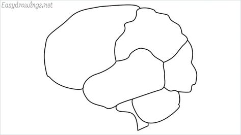 How to draw a brain step by step - Easy drawings Brain Drawing Easy, Brain Doodle Easy, How To Draw A Brain, Brain Drawing Simple, Brain Drawing Front View, Drawing Right Side Of The Brain, Simple Diagram Of Brain, Brain Diagram, Brain Drawing