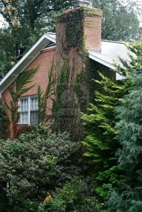 Red brick house with ivy... kinda like my chilhood home Brick House With Vines, House With Ivy, Red House Exterior, Plant Architecture, Red Brick Exteriors, Brick Houses, Brick Cottage, Pretty Houses, Ivy House