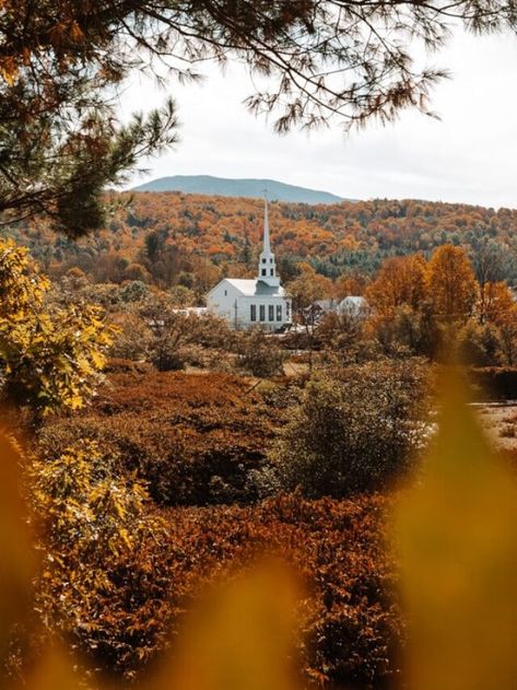 22 Best Things to Do in Stowe, VT in the Fall Story - Dani The Explorer Acadia National Park Fall, Stowe Vt, Pumpkin Spice Everything, Maple Trees, Acadia National Park, Maple Tree, Red And Yellow, In The Fall, Woodstock