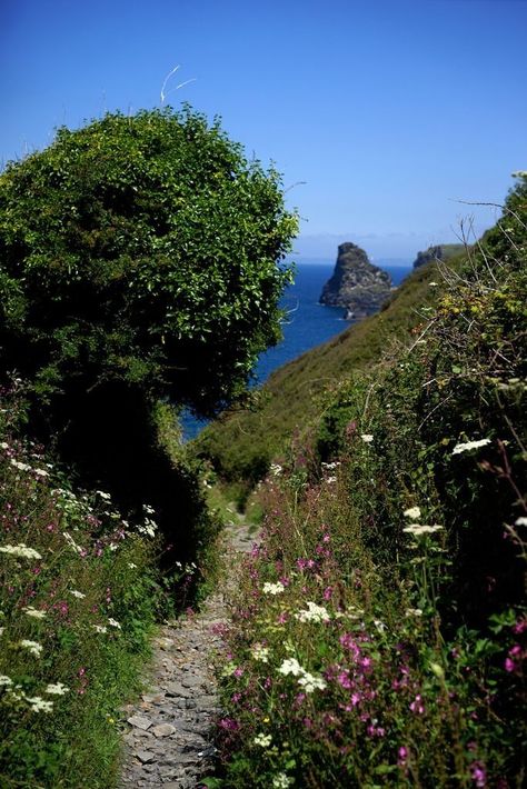 Tintagel Cornwall, Devon And Cornwall, Cornwall England, English Countryside, British Isles, Pretty Places, Coven, Beautiful World, Cornwall