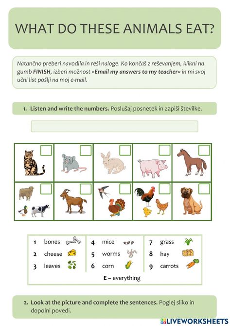 What Animals Eat Worksheet, What Animals Eat, Animal Riddles, English As A Second Language (esl), English As A Second Language, Online Activities, School Subjects, Online Workouts, Google Classroom