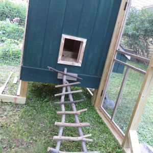 The Frickin' Chicken Coop | BackYard Chickens Chicken Ladder Diy, Chicken Coop Ladder Ideas, Chicken Shed Coop, Chicken Coop Ladder, Grid Furniture, Chicken Roosts, Shed Coop, Coop Plans Free, Chicken Ladder