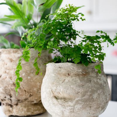 Antique Terra Cotta Pots, Diy Painted Vases, Aging Terra Cotta Pots, Diy Terra Cotta Pots, Diy Concrete Planters, Concrete Diy Projects, Decor Hacks, Rustic Pottery, Concrete Planter