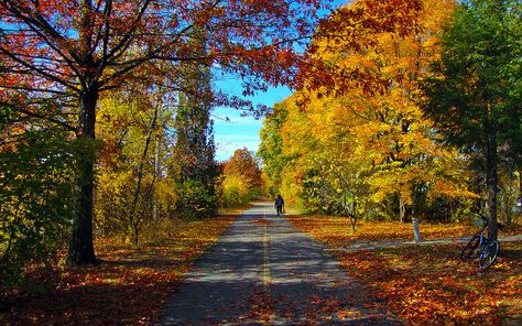 | Minuteman Bike Path | Arlington, Massachusetts | It’s close to Boston, it’s historic, it’s located in a lush and beautiful area, and it’s great for families. Its historical significance is of particular note. The trail closely approximates the route Paul Revere took on his famous ride in 1775, announcing the incursion by British forces and heralding the beginning of the American Revolution. Arlington Massachusetts, Red Trees, New England Travel, Bike Path, Red Tree, Last Post, Bike Trails, In The Fall, Summer Colors