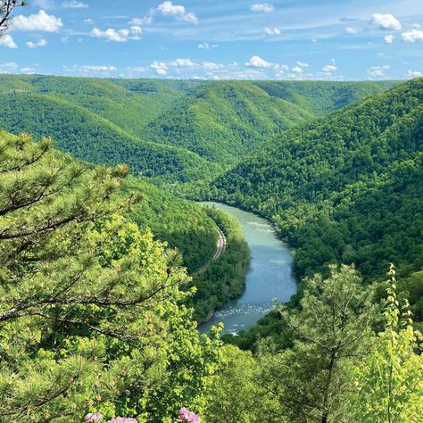 This National Park and Preserve Is West Virginia's Best-Kept Secret — Southern Living New River Gorge National Park, New River Gorge, New Jobs, New River, Best Kept Secret, Southern Living, Sky High, West Virginia, Trees To Plant