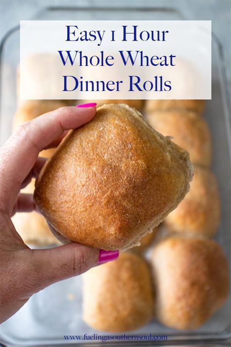 1 Hour Wheat Dinner Rolls are a quick way to get homemade dinner rolls on the table in 1 hour. Soft and fluffy, you're going to love these wheat dinner rolls! Dinner Rolls Recipe Homemade, Wheat Dinner Rolls, Wheat Rolls, Whole Wheat Rolls, Yeast Rolls Recipe, Frozen Dinner Rolls, Wheat Recipes, Artisan Bread Recipes, Homemade Dinner Rolls