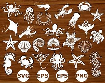 Sea Shell Svg | Etsy Ocean Silhouette, Sea Silhouette, Ocean Svg, Cute Frogs, Monogram Svg, Ocean Animals, Gecko, Sea Animals, Silhouette Designer Edition