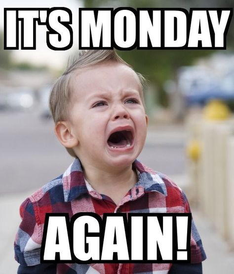 Hilarious Monday Memes to Get You Through the Week Funny Sunday, Funny Monday Memes, Monday Sucks, Happy Monday Quotes, Friday Meme, Sarcastic Women, Tomorrow Is Monday, Morning Memes, Monday Memes