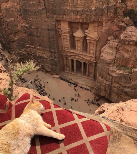 Petra from above cat jordan travel Petra Picture Ideas, Levant Aesthetic, Arabic Pictures, Middle Eastern Travel, Desert Princess, Jordan Aesthetic, Jordans Aesthetic, Ancient Middle East, Egyptian Aesthetic