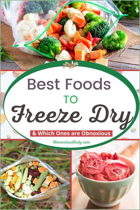 Best foods to freeze dry l Benefits are shelf life, nutrients, & reconstitute well l Includes foods that are obnoxious to freeze dry. Best Things To Freeze Dry, Dry Freeze Food, Best Foods To Freeze Dry, What To Freeze Dry, Freeze Dried Gift Ideas, Freeze Dryer Snacks, Freeze Dry Meal Recipes, Things To Freeze Dry, Freeze Dryer Meal Recipes