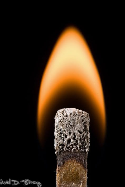 Matches Photography, Match Photography, Heat Photography, Energy Photography, Power Photography, Macro Photography Tips, Foto Macro, Micro Photography, John Donne