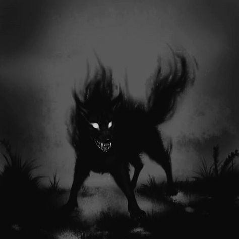 Shadow Creatures Art, Fantasy Shadow Creature, Dark Creatures Shadows, Wolf Aesthetic Dark, Dark Creature Art, Shadow Wolf Art, Hell Aesthetic Dark, Shadow Creature Art, Hell Hound Art