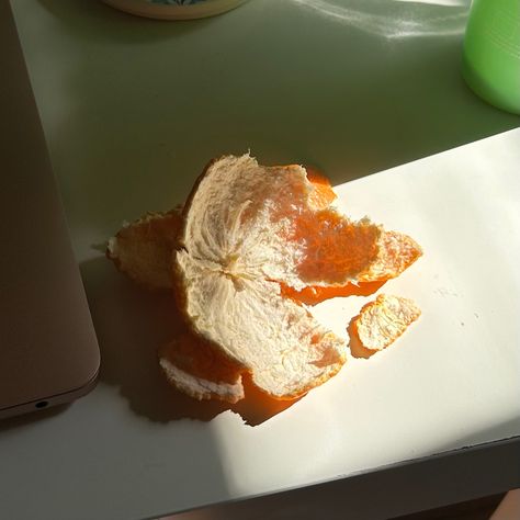 clementine peel Orange Theory, Orange Soda, Orange Aesthetic, Coffee Is Life, Sketchbook Inspiration, Fruit Art, Orange Peel, Infj, Aesthetic Pictures