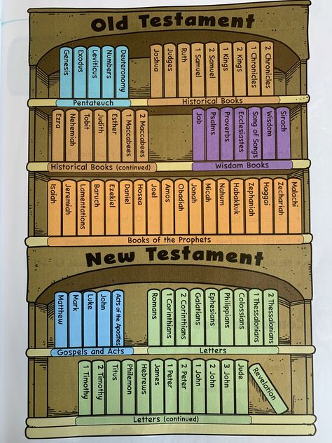 How is the Bible Organized (Catholic): New Testament, Old Testament. OT = Pentateuch (set of 5 books), Historical Books, Wisdom (& Poetry) Books, Books of the Prophets. NT = Gospels (Matthew, Mark, Luke, John), Acts, Letters (aka "epistles"), & Revelation. New Testament Aesthetic, Pentateuch Books, Old Testament Books Of The Bible, Bible Literature, Wisdom Poetry, Bible Organization, Matthew Mark Luke John, Bible Interpretation, Old Testament Bible