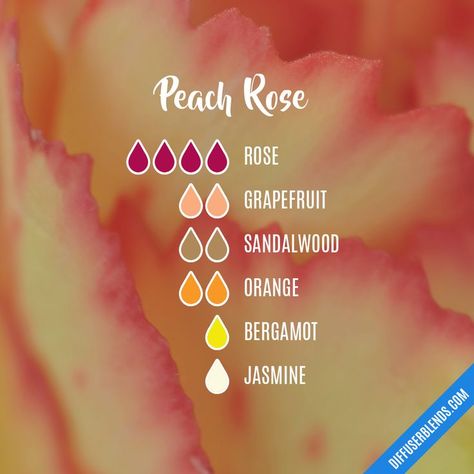 Peach Rose essential oil blend Candles With Essential Oils, Essential Oil Perfumes Recipes, Essential Oil Combinations, Essential Oil Diffuser Blends Recipes, Perfume Recipes, Essential Oils Guide, Essential Oil Diffuser Recipes, Oil Diffuser Recipes, Essential Oil Blends Recipes