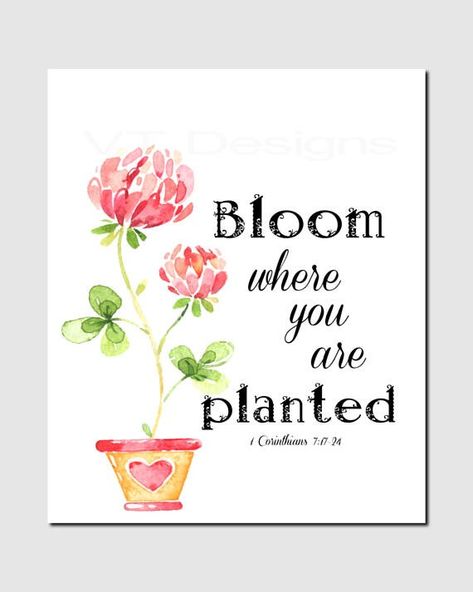 Verses About Flowers, Spring Scripture, Quotes Bible Verses, Trendy Plants, Plants Quotes, Bloom Where Youre Planted, Quotes Bible, Bloom Where You Are Planted, Garden Quotes