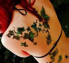 Ivy Tattoo Designs And Meanings-Ivy Flower Tattoos And Vine Tattoos Ivy Tattoos, Decorative Tattoos, Ivy Tattoo, Tattoo Off, Vine Tattoo, Cherry Tattoos, Tattoo Symbols, Vine Tattoos, Full Body Tattoo