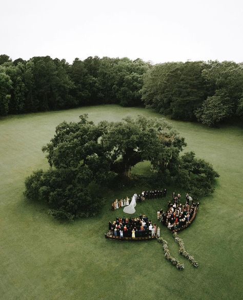 Winter Garden Party Wedding, European Backyard Wedding, Old Style Wedding, Coquette Garden, My Love Photo, Old Oak Tree, Future Wedding Plans, Tree Wedding, Wedding Mood Board