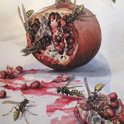 Natural Forms Gcse, Anastasia Koldareva, Decay Art, Rotten Fruit, Pomegranate Art, Natural Form Art, Growth And Decay, Art Alevel, Gcse Art Sketchbook