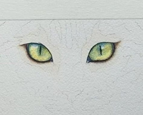 Cat Eyes Watercolor, Cat Eye Watercolor, How To Paint Cats Eyes, Cat Eyes Tattoo Realistic, Cat Eye Tattoo Realistic, How To Paint Cat Eyes, How To Draw Cat Eyes, Cat Eyes Drawings, Watercolor Cat Tutorial