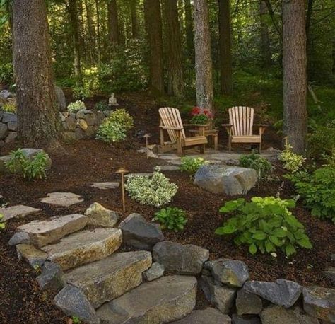 Landscaping Center Of Circle Drive, Cabin In The Woods Landscaping Ideas, Backyard Rocks, Grass Alternatives, Forest Landscaping, Wooded Backyard Landscape, Wooded Backyard, Landscape Luxury, Terraced Backyard