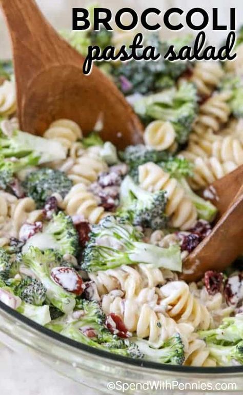 Broccoli pasta salad combines our favorite sweet tangy broccoli salad with tender pasta for the perfect potluck dish! #spendwithpennies #broccoli #broccolisalad #pastasalad #potluckrecipe #easypotluckdish #sidedish #easyrecipe #saladrecipe Broccoli Pasta Salad, Broccoli Pasta Salads, Salad Kale, Ranch Sauce, Creamy Ranch, Broccoli Salad Recipe, Seasoned Chicken, Broccoli Pasta, Cold Pasta